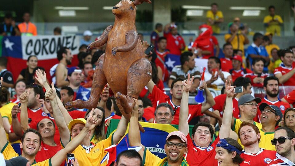 Berbagai Aksi &amp; Ekspresi &quot;Gila&quot; Para Supporter di Piala Dunia Brazil 2014 (Best Pict)