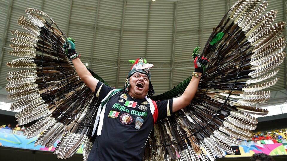 Berbagai Aksi &amp; Ekspresi &quot;Gila&quot; Para Supporter di Piala Dunia Brazil 2014 (Best Pict)