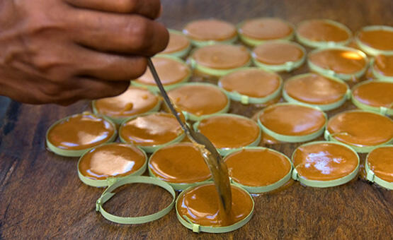 Tanaman-tanaman sumber gula
