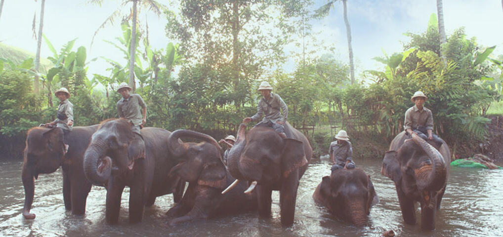 10 Kegiatan di Bali yang HARUS Kamu Cobain