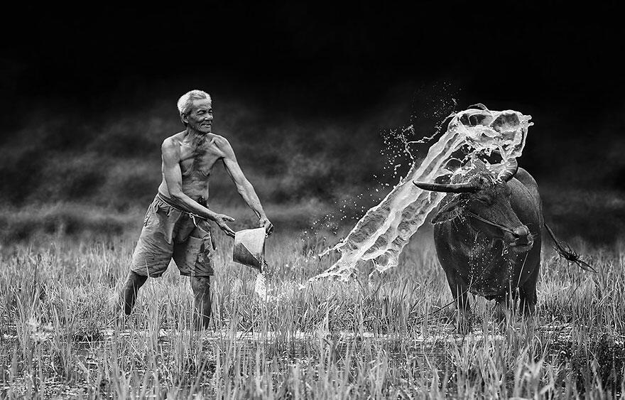 Betapa Indahnya Hidup di Daerah Pedesaan[
