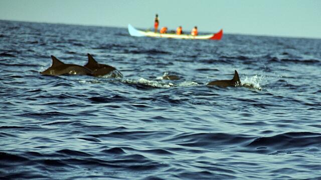 &#91; Ajakan &#93; Mendadak Berlayar Ke Teluk Kiluan 20 - 22 Juni 2014
