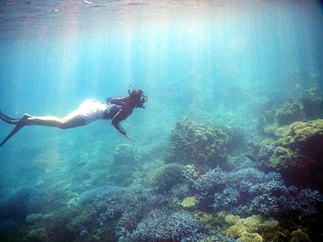 &#91; Ajakan &#93; Mendadak Berlayar Ke Teluk Kiluan 20 - 22 Juni 2014