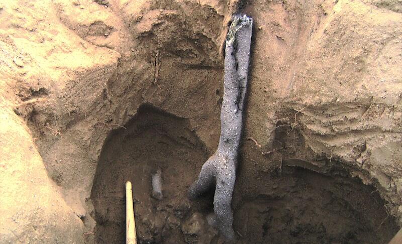 Keindahan Fenomena Alam Fulgurite (bekas petir diatas pasir)