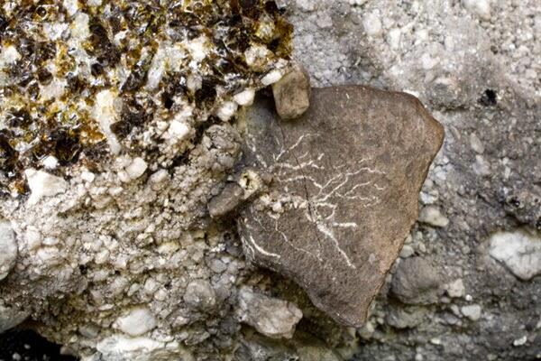 Keindahan Fenomena Alam Fulgurite (bekas petir diatas pasir)