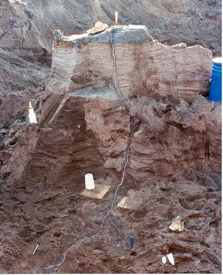 Keindahan Fenomena Alam Fulgurite (bekas petir diatas pasir)