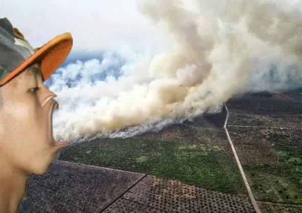 Penyebab RIAU berasap waktu lalu