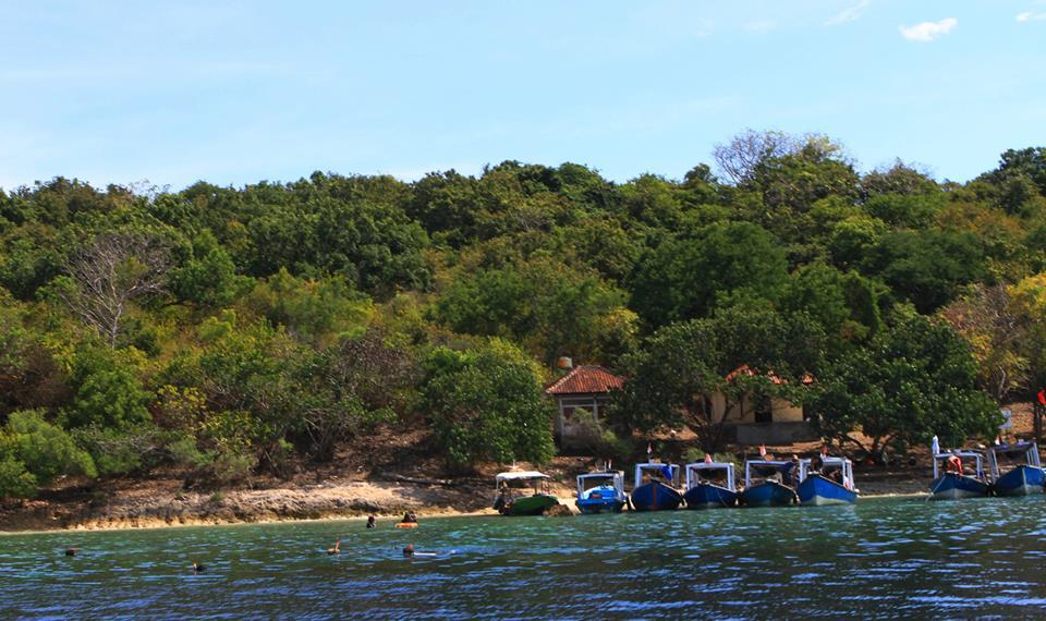 Snorkeling di Pulau Menjangan Bali Barat