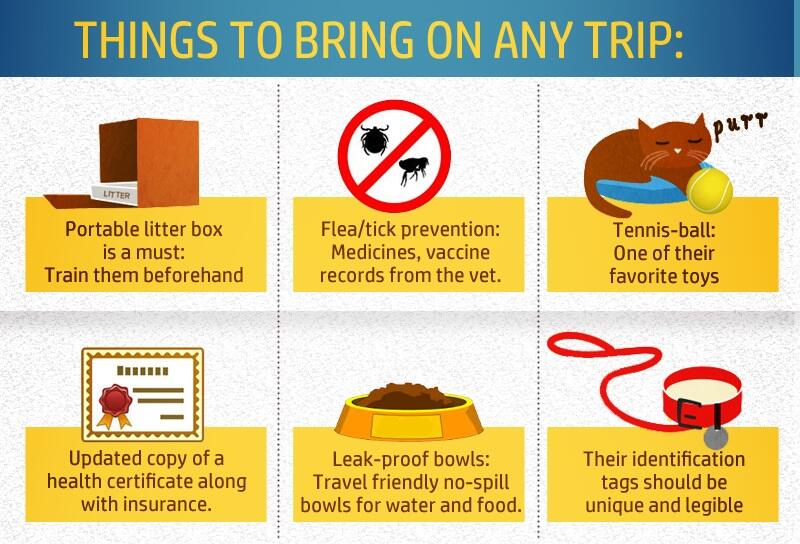 &#91;infographics&#93;tips traveling bersama hewan peliharaan agan!