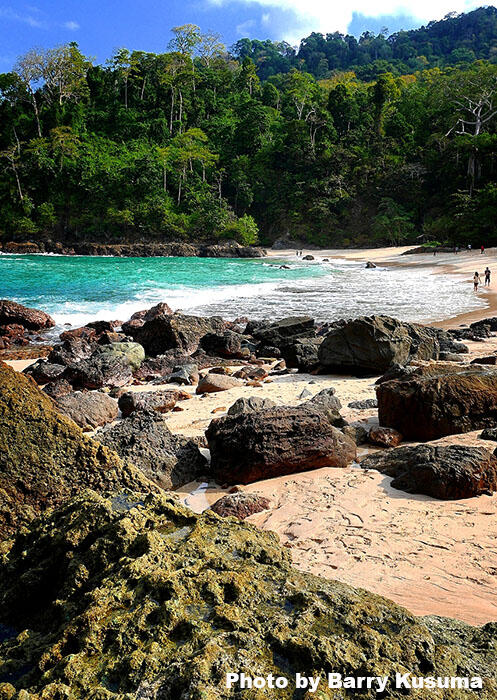 Meru Betiri, Surga Belantara yang Belum Terjamah.