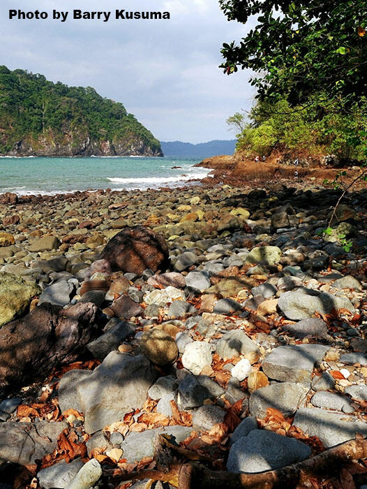 Meru Betiri, Surga Belantara yang Belum Terjamah.