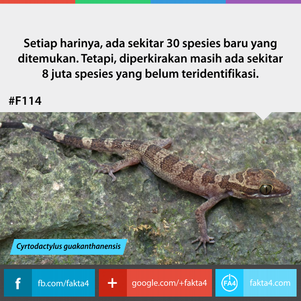 Fakta-Fakta Unik Yang Belum Agan Tahu