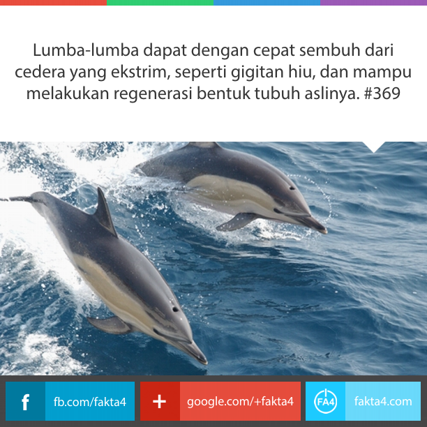 Fakta-Fakta Unik Yang Belum Agan Tahu