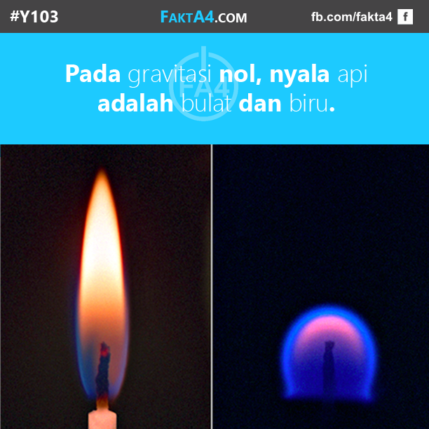 Fakta-Fakta Unik Yang Belum Agan Tahu