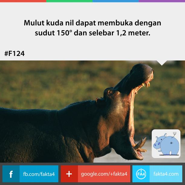 Fakta-Fakta Unik Yang Belum Agan Tahu