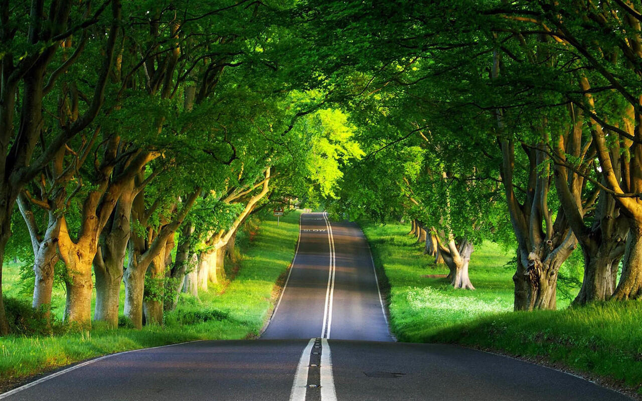 Sharing Skill Photoshopmu di sini
