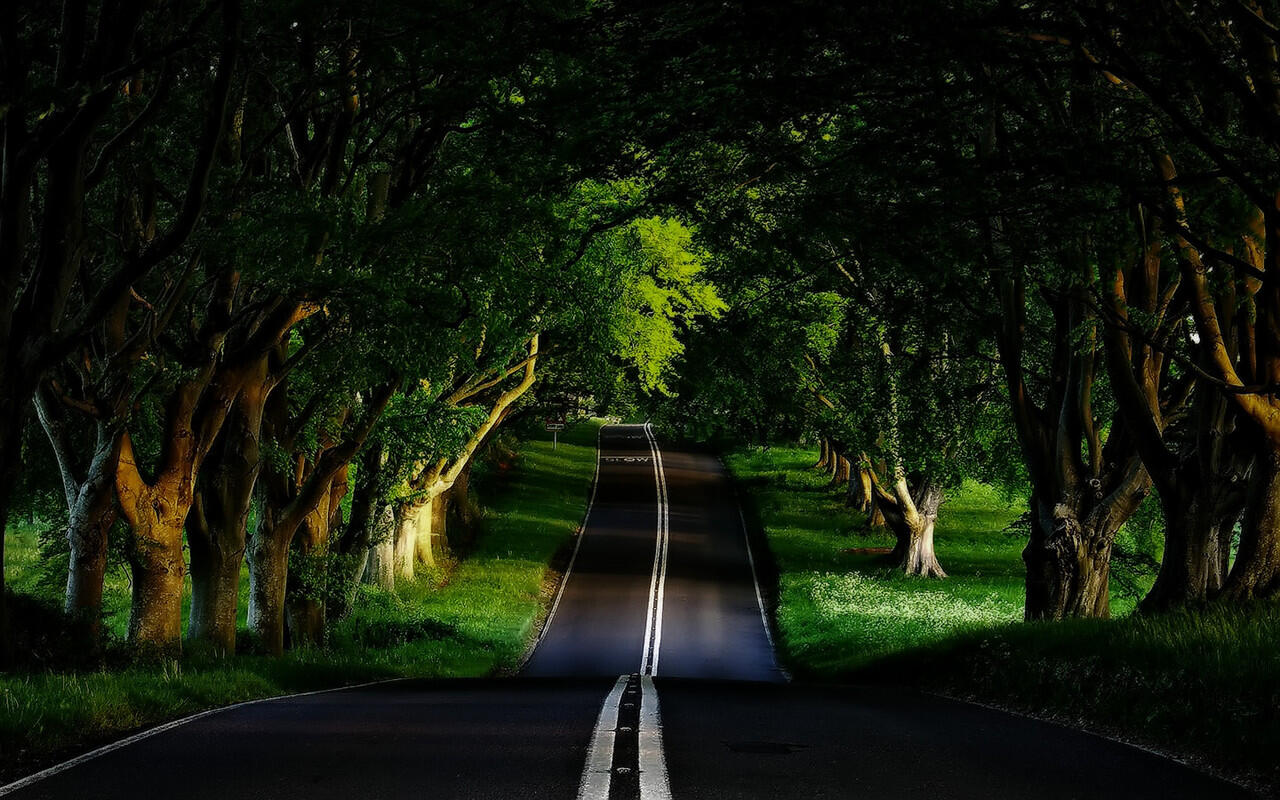 Sharing Skill Photoshopmu di sini