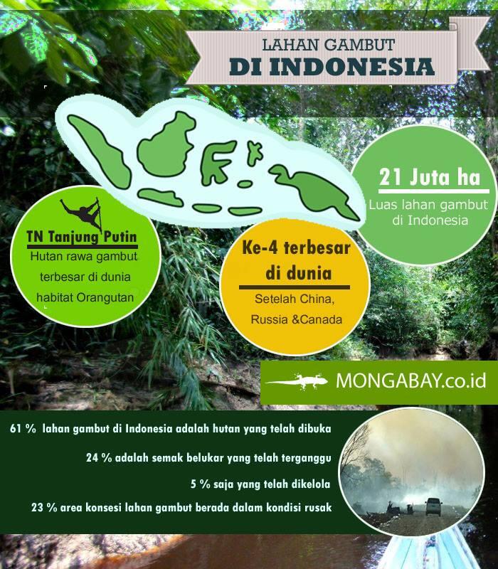 Mengenal Lebih Dekat "Gambut" : 7 Jawaban Untuk Pemula