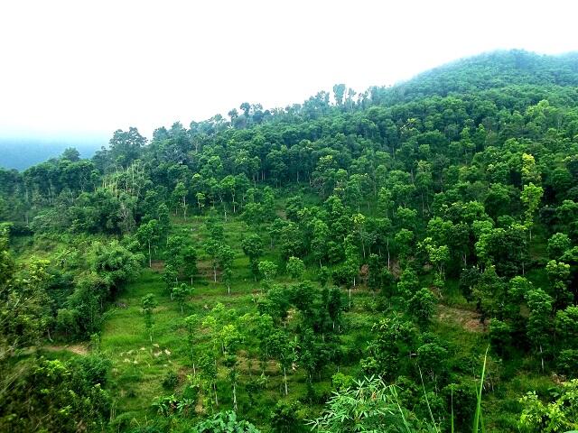 ARGOPURO VIA BADERAN - BERMI ( 28 MEI - 02 JUNI 2014 ) “ Mungkin ia berpesan, agar ke