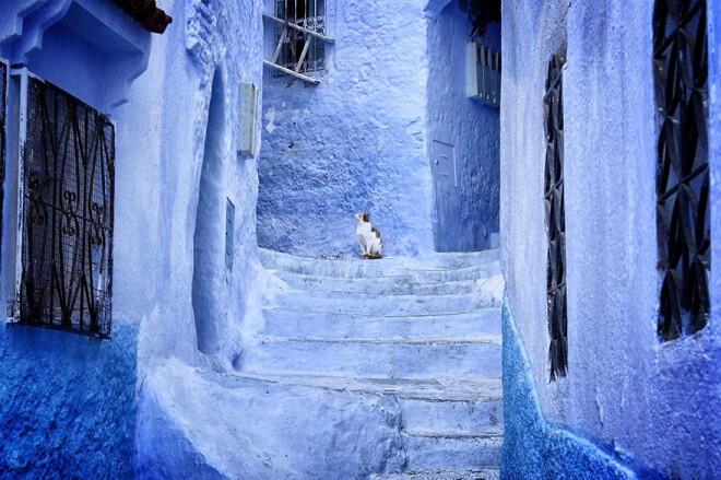 Sudut Dunia yang Berwarna Biru di kota Chefchaouen-Morocco