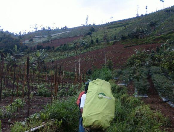 Sepinya Jalur Pendakian Gunung Prahu Via Desa Kenjuran (Kendal)