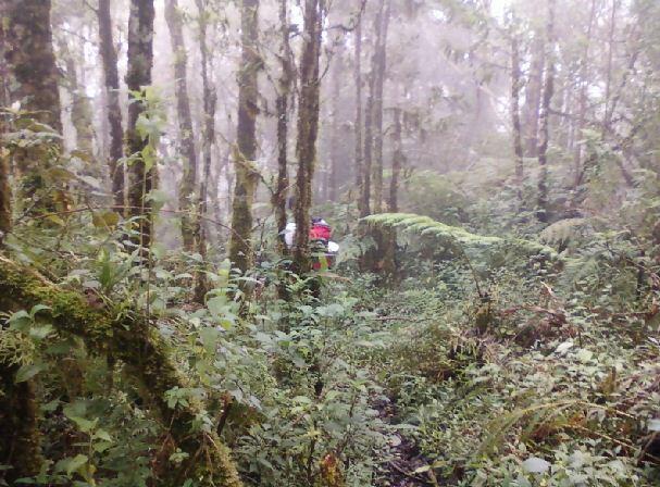 Sepinya Jalur Pendakian Gunung Prahu Via Desa Kenjuran (Kendal)