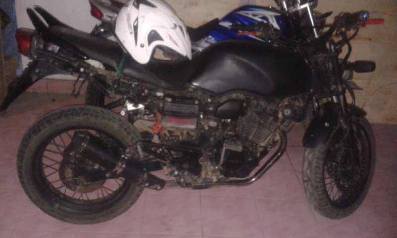 tiger bahan 2003 bogor