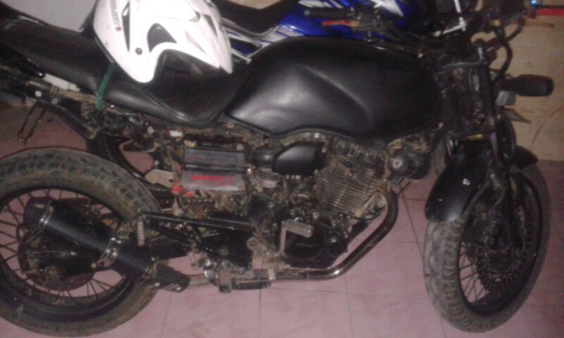 tiger bahan 2003 bogor