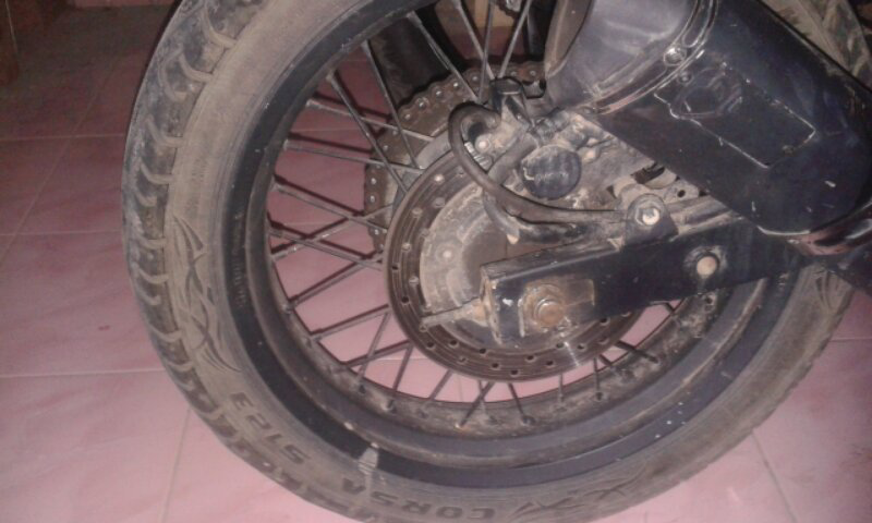 tiger bahan 2003 bogor