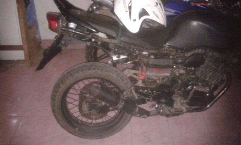 tiger bahan 2003 bogor