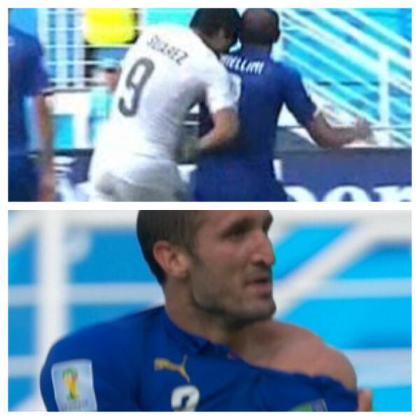 suarez the dog