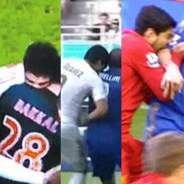 suarez the dog