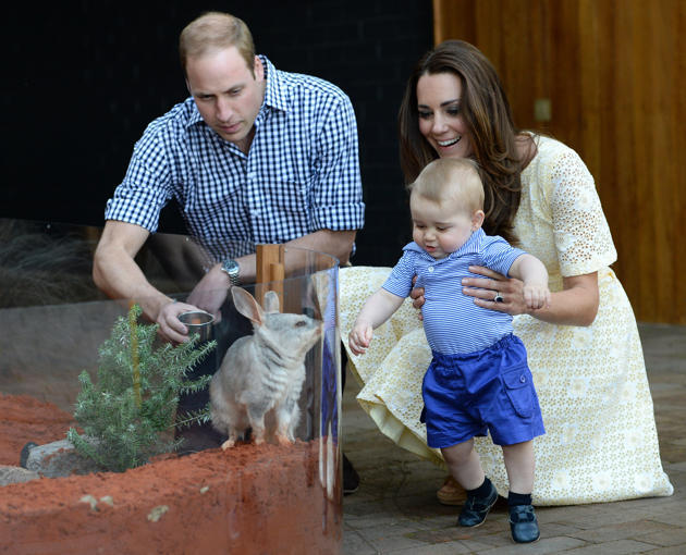 Pangeran George si Fashionista Cilik