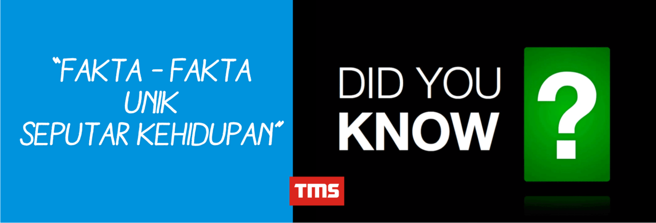 Fakta - Fakta Unik Seputar Kehidupan