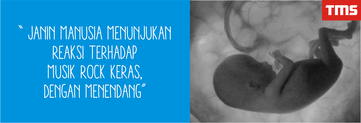 Fakta - Fakta Unik Seputar Kehidupan