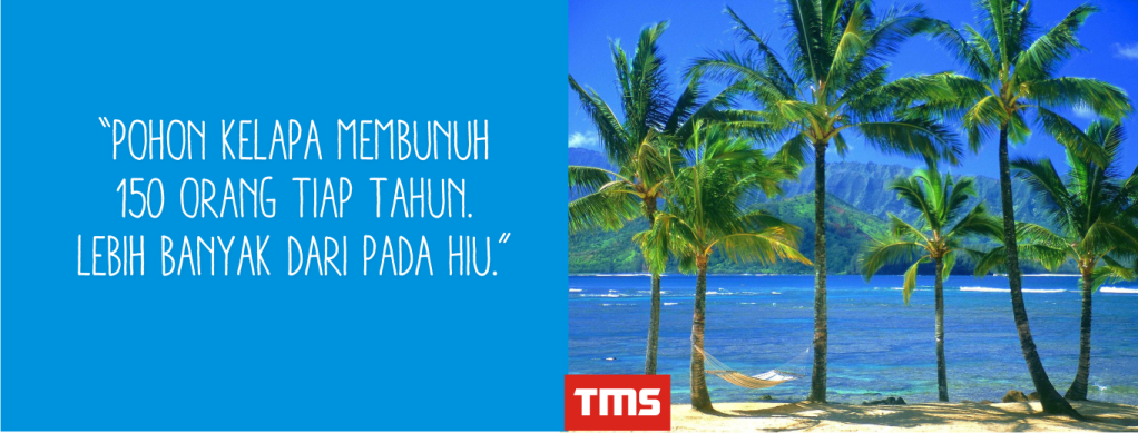 Fakta - Fakta Unik Seputar Kehidupan
