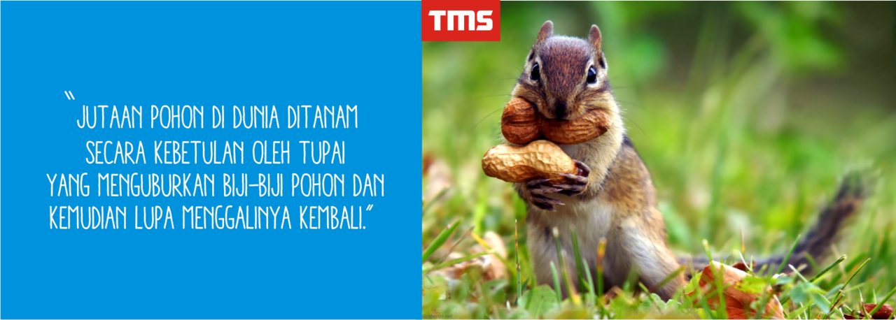Fakta - Fakta Unik Seputar Kehidupan