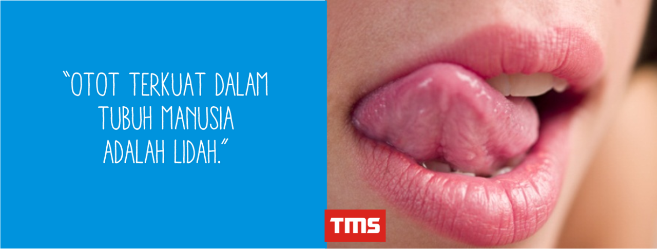 Fakta - Fakta Unik Seputar Kehidupan