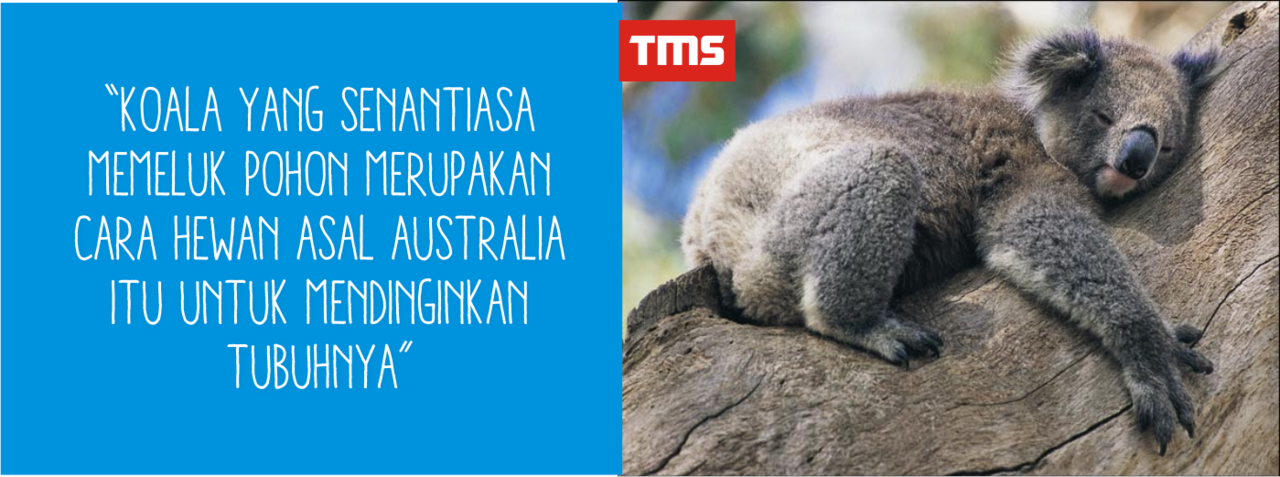 Fakta - Fakta Unik Seputar Kehidupan