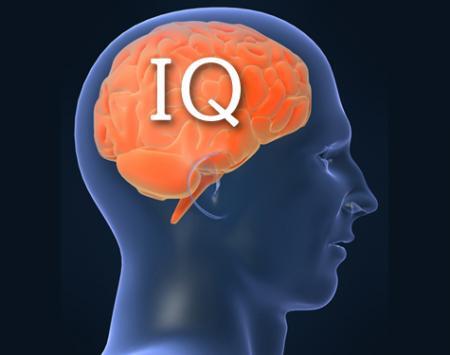 IQ Tinggi = Cerdas IQ Rendah = Bodoh ????