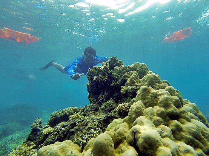 &#91; Ajakan &#93; Merayakan Hari Kemerdekaan Indonesia di Puncak Krakatau