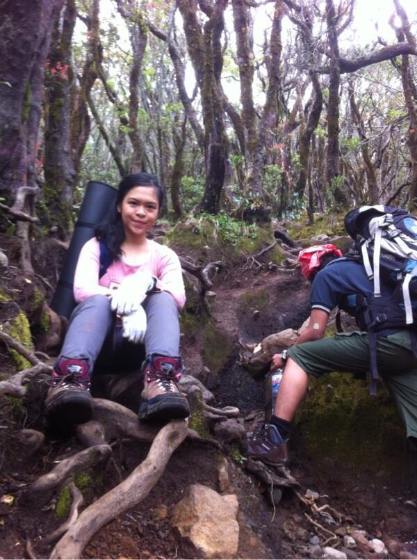 Serunya hiking di Gunung Gede (+PIC)