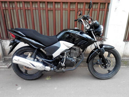 tiger revo