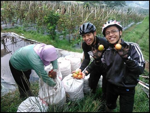 Jalur Gowes Menakjubkan Jurassic Track Lembang Bandung Utara