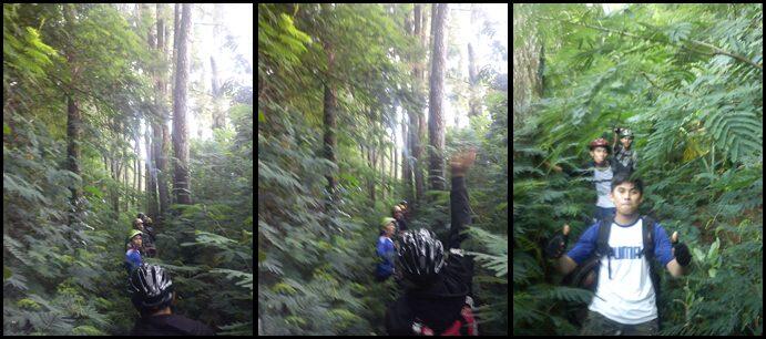 Jalur Gowes Menakjubkan Jurassic Track Lembang Bandung Utara