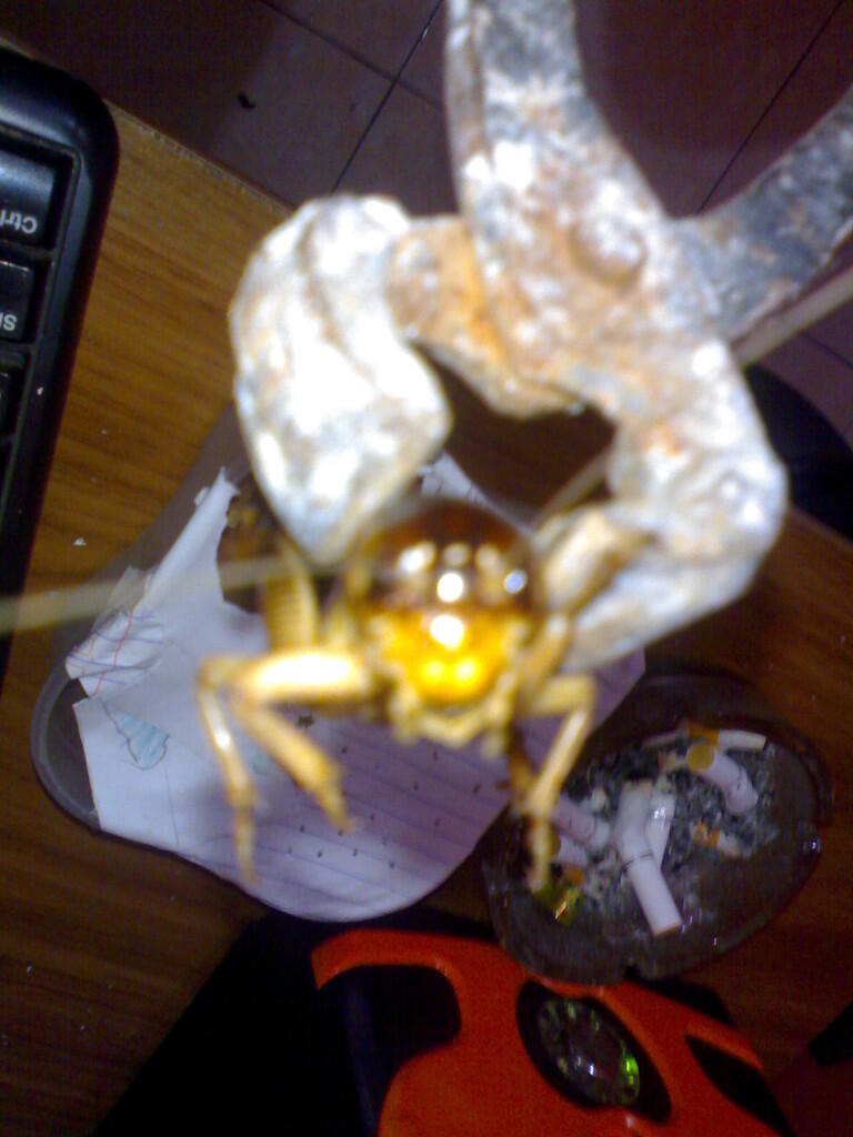 Jangkrik Gede Banget Gan!!!