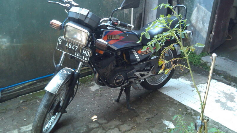 Yamaha RX King 96