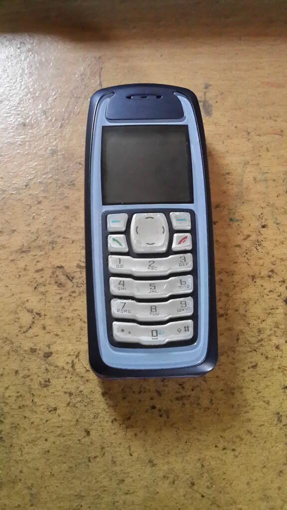 Nokia 3100