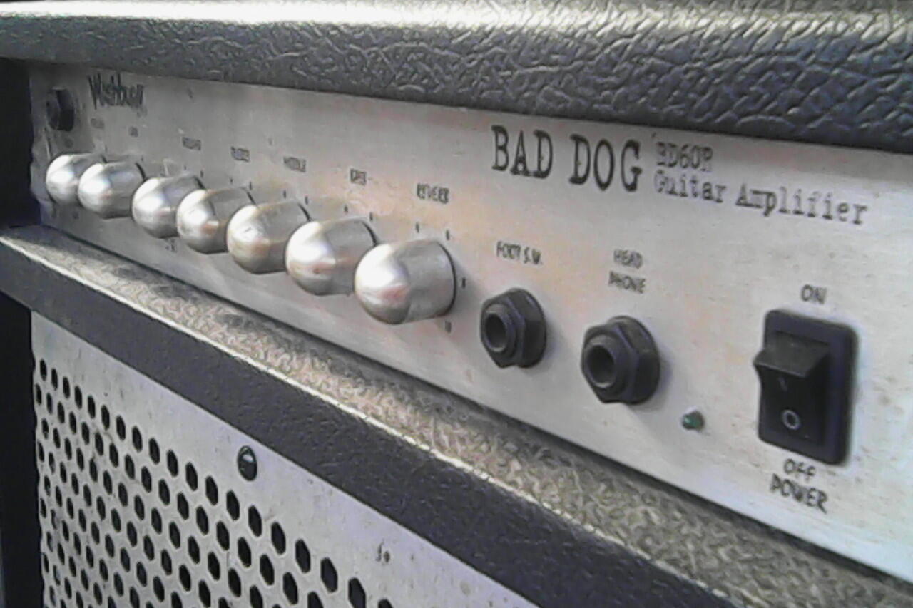 ampli amplifier gitar guitar BLACKDOG 22" BU