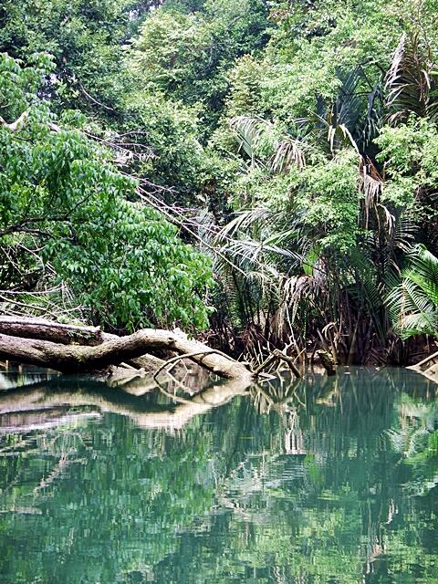 Ajakan Ke Pulau Peucang 11 - 13 Juli 2014